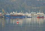 Holy Loch reflections