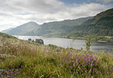 View south down Loch Eck
