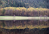 Autumn Reflections, Loch Eck