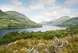 View north down Loch Eck from A880