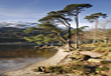 Loch Eck Argyll
