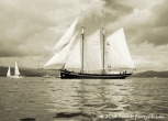 Tall Ships Race, Clyde July 2011