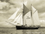 Tall Ships Race, Clyde July 2011