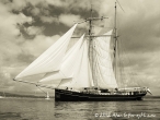 Tall Ships Race, Clyde July 2011