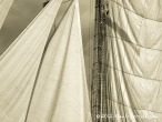 Tall Ships Race, Clyde July 2011