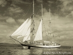 Tall Ships Race, Clyde July 2011