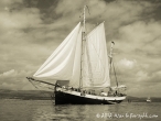 Tall Ships Race, Clyde July 2011