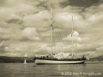 Tall Ships Race, Clyde July 2011