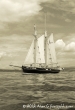 Tall Ships Race, Clyde July 2011