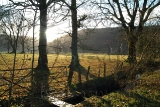 Winter Sun, Glendaruel