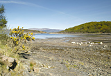 Portavadie Bay