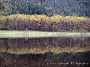 Reflections, Loch Eck, Argyll