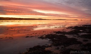Clyde Winter Sunrise