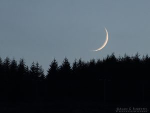 Crescent Moon Over South Cowal