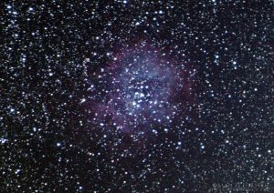 ROSETTE NEBULA C49 NGC2238