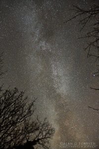 The Milky Way