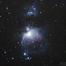 Orion Nebula (M42) Orion Nebula (M42)