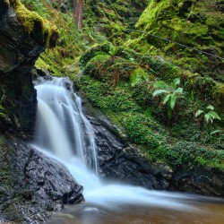 Puck's Glen, Argyll Puck's Glen, Argyll