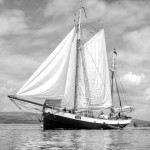 Tecla, Tall Ships Race Greenock 2011